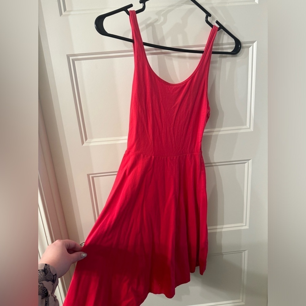 Express skater dress